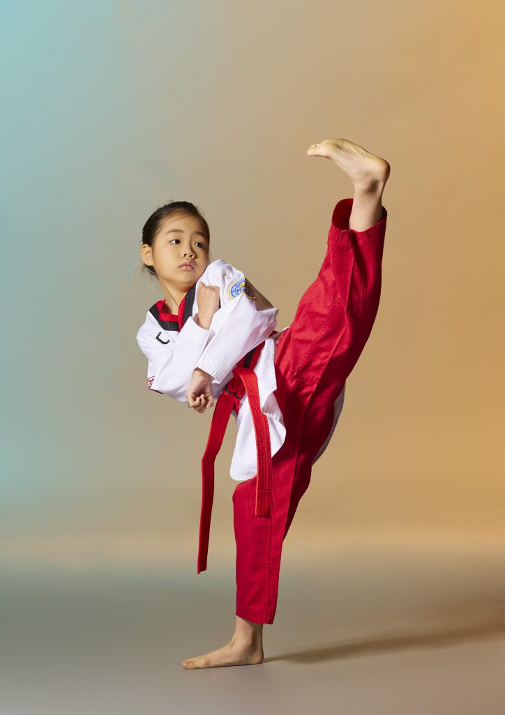 Z_P0163_CHESSACSTSUI_A